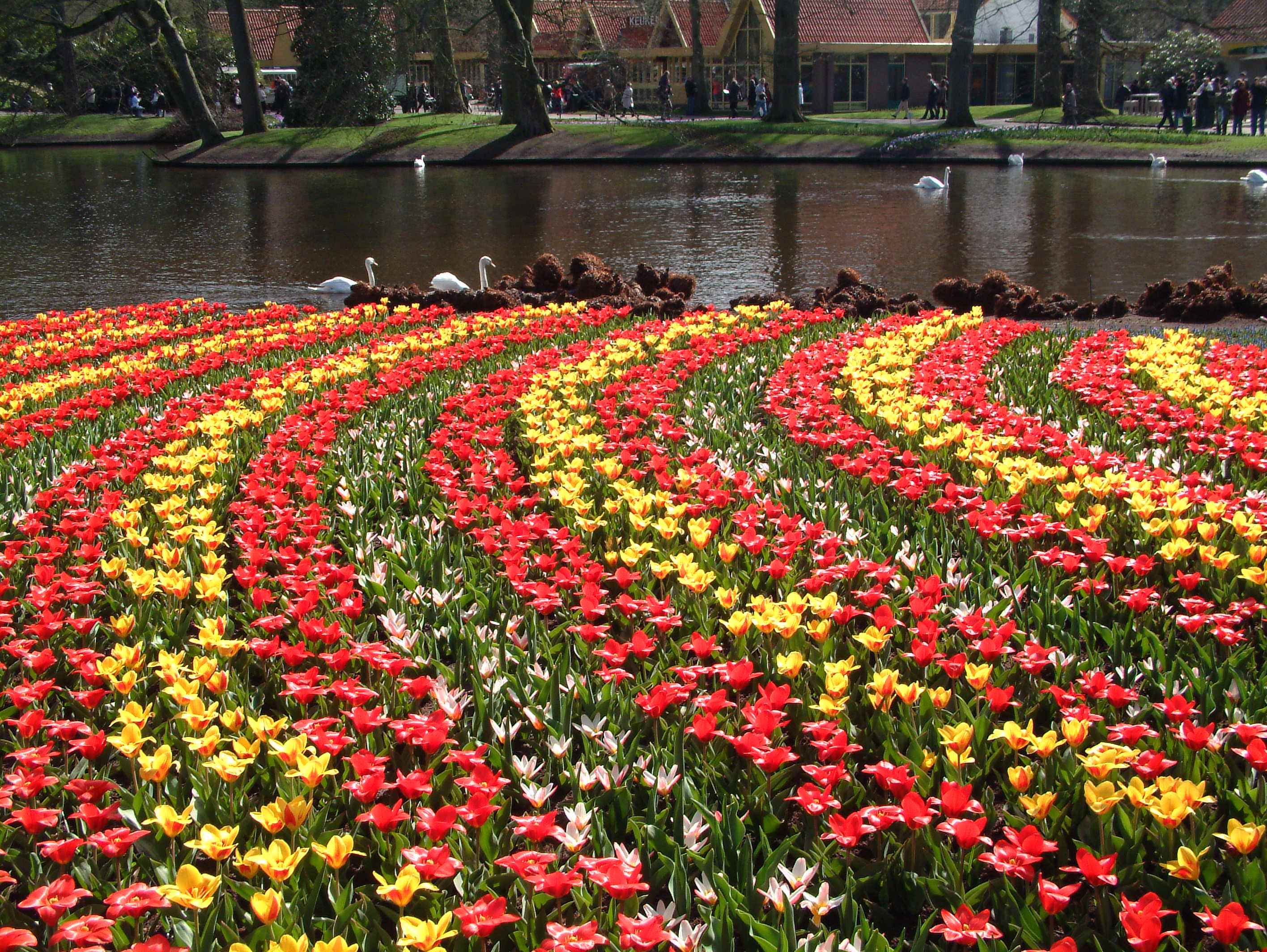 keukenhof.jpg